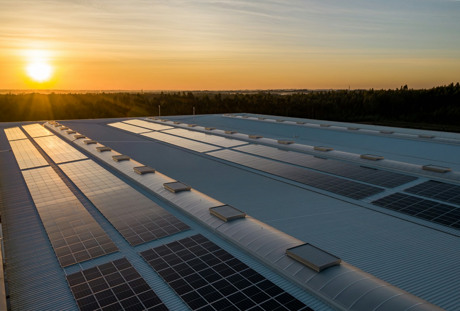 Centrale solaire installée sur la toiture d’un bâtiment professionnel