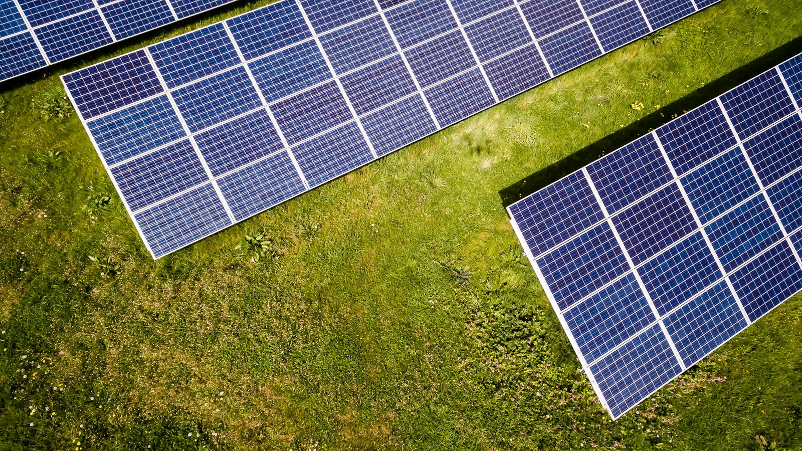 Modules photovoltaïques produisant de l’électricité renouvelable